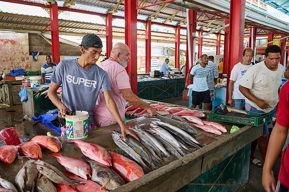 fish market on Sir Selwyn Clarke Market