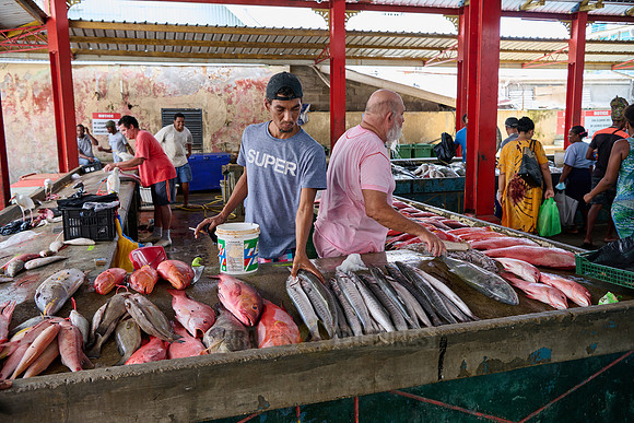 fish market on Sir Selwyn Clarke Market