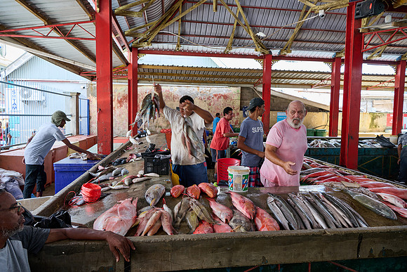 fish market on Sir Selwyn Clarke Market