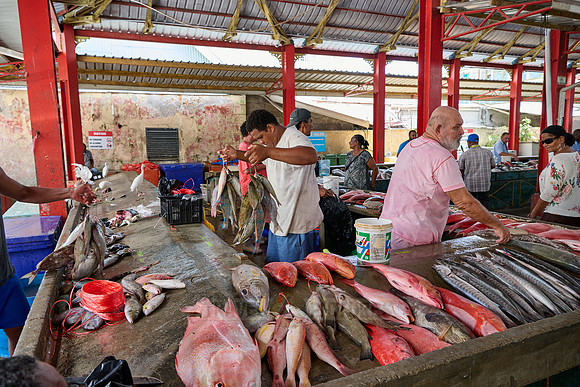 fish market on Sir Selwyn Clarke Market