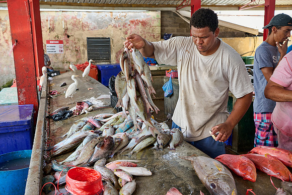 fish market on Sir Selwyn Clarke Market