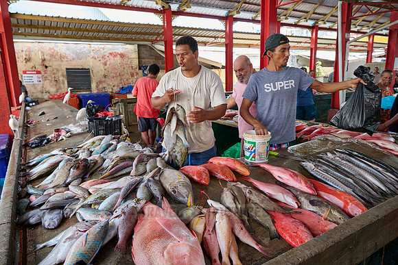 fish market on Sir Selwyn Clarke Market