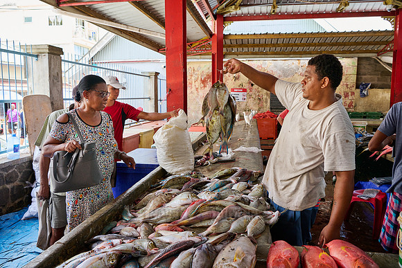 fish market on Sir Selwyn Clarke Market