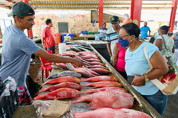 fish market on Sir Selwyn Clarke Market, Victoria