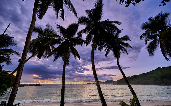 sunset behind palm trees at Anse Takamaka, Mahe