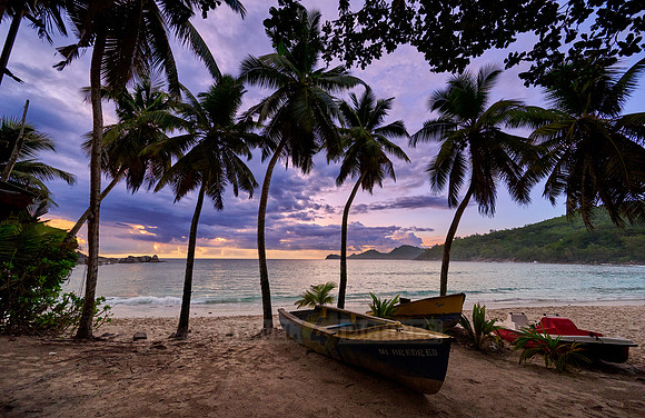 sunset behind palm trees and boat at Anse Takamaka, Mahe