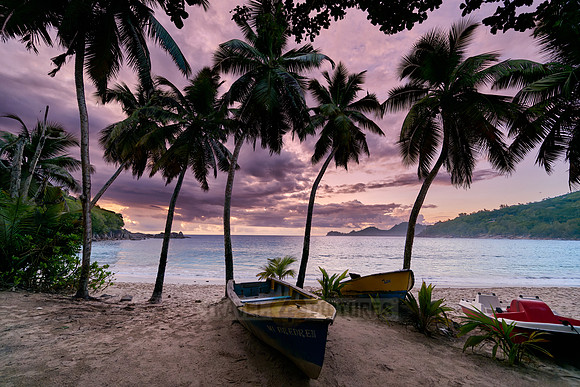 sunset behind palm trees and boat at Anse Takamaka, Mahe