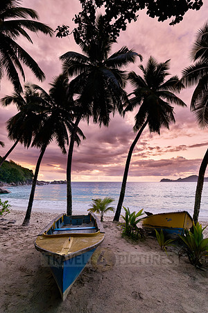 sunset behind palm trees and boat at Anse Takamaka, Mahe
