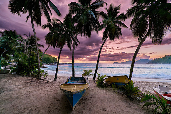 sunset behind palm trees and boat at Anse Takamaka, Mahe