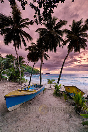 sunset behind palm trees and boat at Anse Takamaka, Mahe