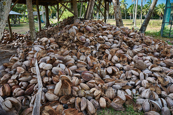 coconut shells in traditional coprah factory on L'Union Estate, La Digue