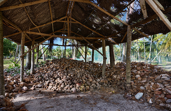 coconut shells in traditional coprah factory on L'Union Estate, La Digue