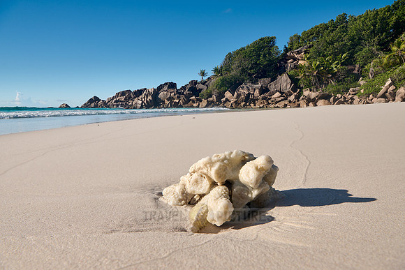 Petite Anse, La Digue