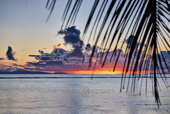 Sunset with palm leafes and clouds over the sea from the Anse Source D'Argent