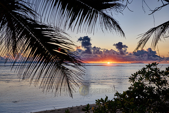 Sunset with palm leafes and clouds over the sea from the Anse Source D'Argent