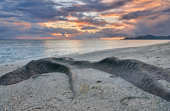 Sunset over the sea from the Anse Source D'Argent