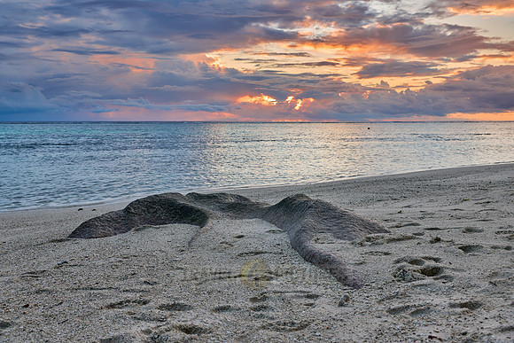 Sunset over the sea from the Anse Source D'Argent