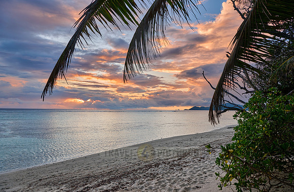 Sunset with palm leafes and clouds over the sea from the Anse Source D'Argent