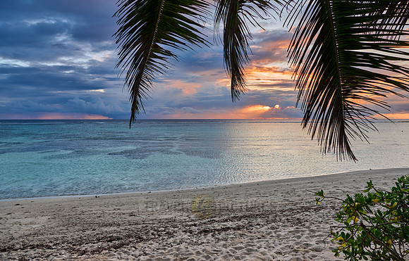 Sunset with palm leafes and clouds over the sea from the Anse Source D'Argent