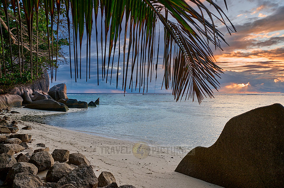 Sunset with palm leafes and clouds over the sea from the Anse Source D'Argent
