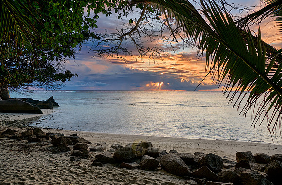 Sunset with palm leafes and clouds over the sea from the Anse Source D'Argent