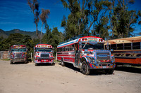 traditional colorful local busses in Antigua