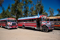 traditional colorful local busses in Antigua