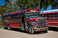 traditional colorful local busses in Antigua