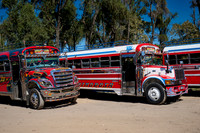 traditional colorful local busses in Antigua
