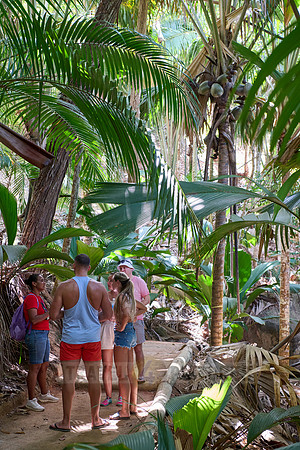 Guide teaching tourists in Vallee de Mai, Praslin