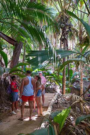 Guide teaching tourists in Vallee de Mai, Praslin