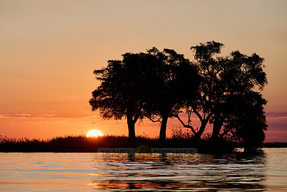 sunset with trees at Chobe River
