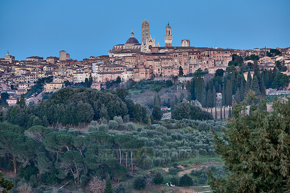 view on illuminated Siena from a distance