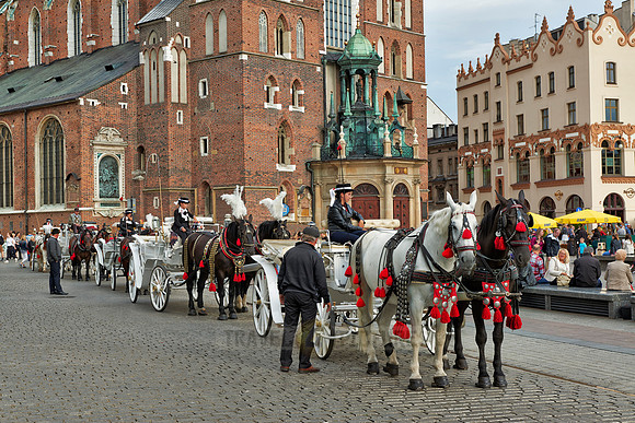 horse-drawn carriage in front of St. Mary's Basilica