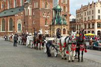 horse-drawn carriage in front of St. Mary's Basilica