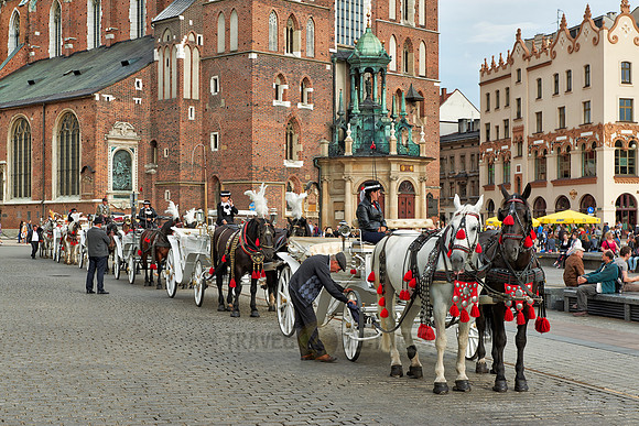 horse-drawn carriage in front of St. Mary's Basilica