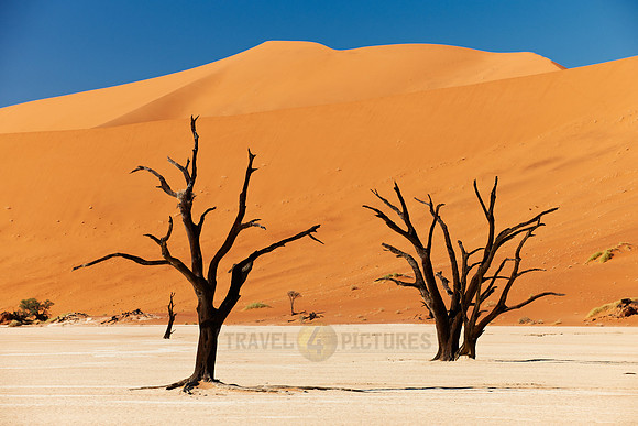 Dead Vlei, desert landscape of Namib