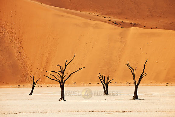 Dead Vlei, desert landscape of Namib