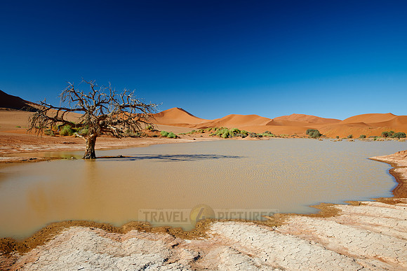 desert landscape of Namib at Sossusvlei with water inside, Namibia