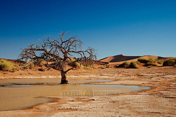 desert landscape of Namib at Sossusvlei with water inside, Namibia