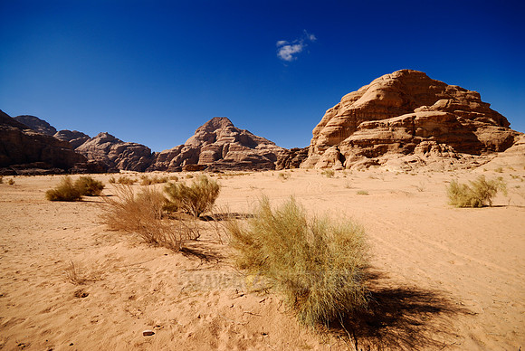 desert landscape of Wadi Rum
