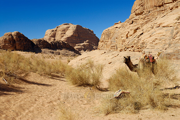 desert landscape of Wadi Rum