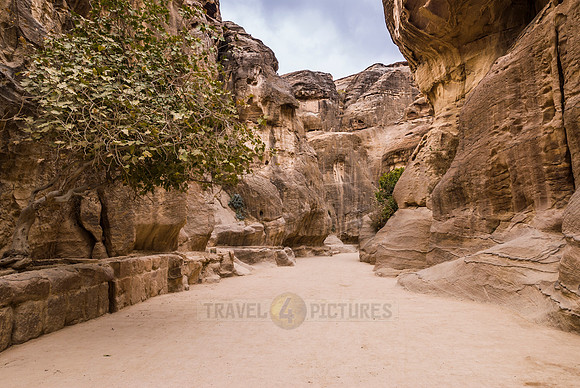 As-Siq or canyon in Nabataean ancient town Petra, Jordan