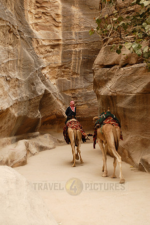 As-Siq or canyon in Nabataean ancient town Petra, Jordan