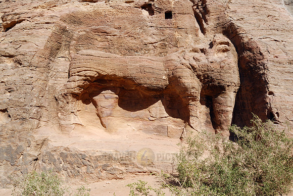 carved lion, Nabataean ancient town Petra, Jordan