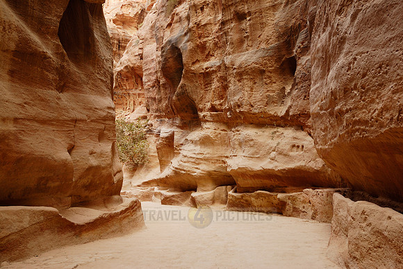 As-Siq or canyon in Nabataean ancient town Petra, Jordan
