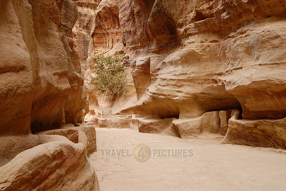 As-Siq or canyon in Nabataean ancient town Petra, Jordan
