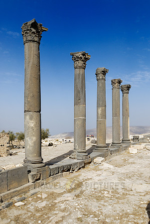 The Basilica Terrace, Ruins of Umm Qays, Jordan
