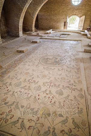 Byzantine mosaic, MADABA, Jordan