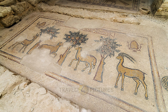 Byzantine mosaic, MADABA, Jordan